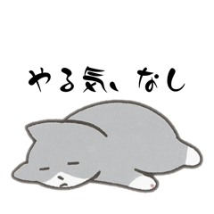 misaki_20251102222219