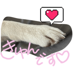 tsuyu_20251102200738