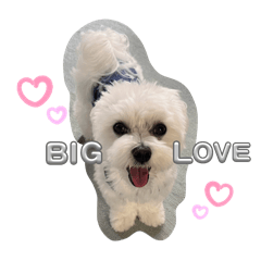 nonchan_20251103014828