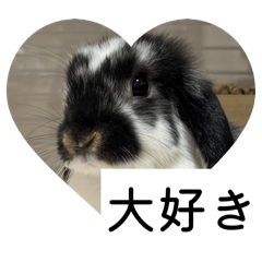 SUZU_20251103024438