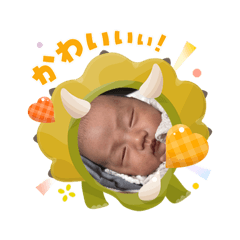 darumakodarumako_20251103091844