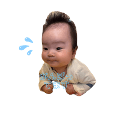 SAKURA_20251103091738