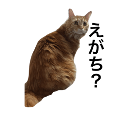 himena_20251102201201