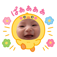 shiho_20251103093632