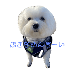 HARUKA_20251103093512