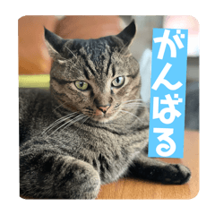 Ryu2_20251031194341