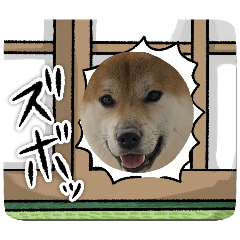 KZMS_20251102204901