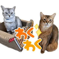 Asuka_20251102182230