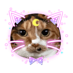 hanasora_20251102183825