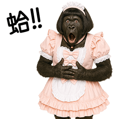 Gorilla in sweet outfit [TW]