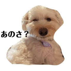 maaru_20251031231151