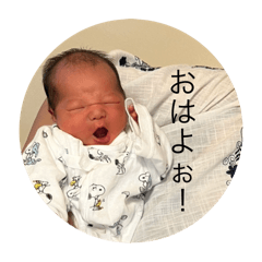 Matsu_20251103085346