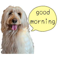 misa.mizu_20251102213821