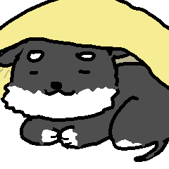 Miniature Schnauzer LOVE3