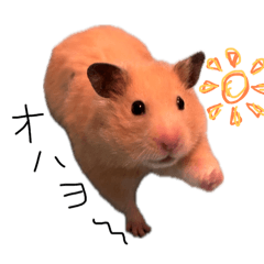 bonnie_20251101135304