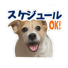 myjrt_20251101154852