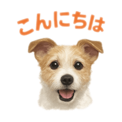 myjrt_20251101161327