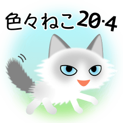 色々な猫20-4 長毛-白にグレー柄