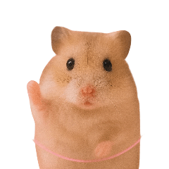 Cute hamster daily greetings