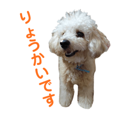 orange_20251102220215