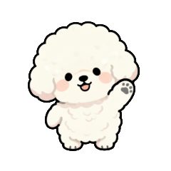 A Round Bichon's Day