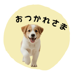 fluffy puppy feelings2025