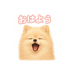 mayuyun_20251103110248