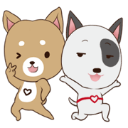Nicopy World - nicodog