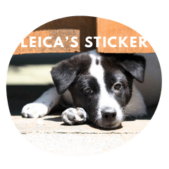 Leica speaks Kansaiben