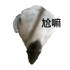 糕糕米（有文字版）