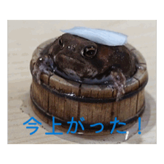 suzu_20251103114245
