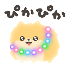 ぴかぴかわんわん