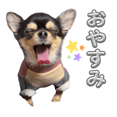 misaki_20251103122154