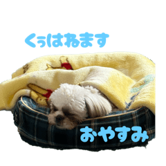 kuuta_20251103125006