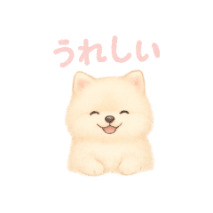 mayuyun_20251103131228