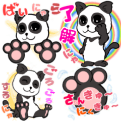 Panda-like cat  pannyan stamp