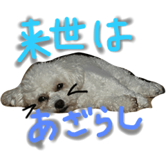 ohagi_20251102115021