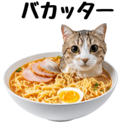 Nyan's Daily Cat Conversations