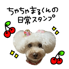 ちゃちゃまるくんの日常【ワン】