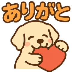 Cute Golden Retriever Daily Chat Sticker