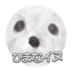 mikan_20251102213749