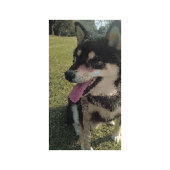 kira tomo_20251102223941