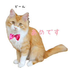 My name is Ame 2