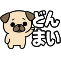 Cute Pug Daily Use Sticker