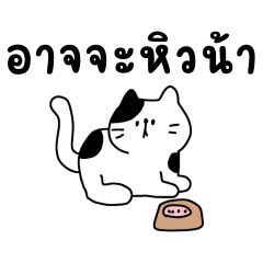 My Cat So Cute English