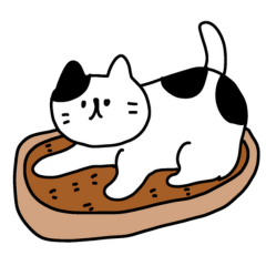 My Cat So Cute No Text