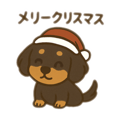 hishi_20251103121600