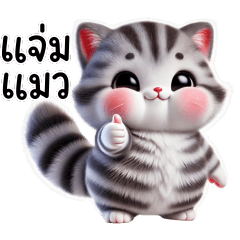 Gray tabby cat very cute