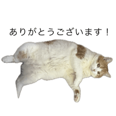 chihiro_20251103121552