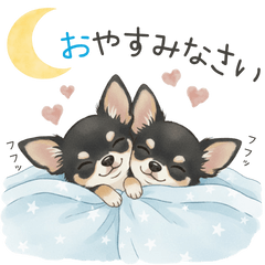 Relaxed Chihuahua Cozy Daily Stickers